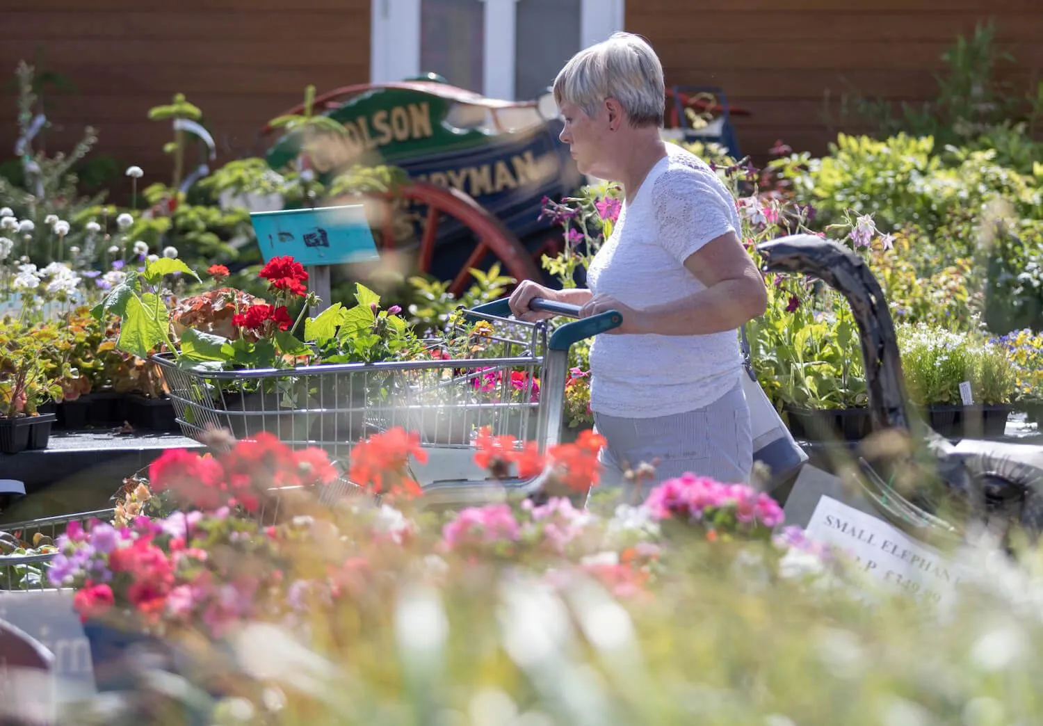 Woman shopping at Grimsby Garden Centre