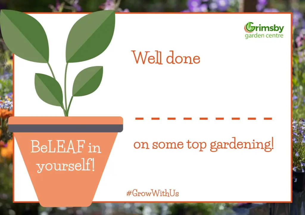 BeLeaf in Yourself Certificate