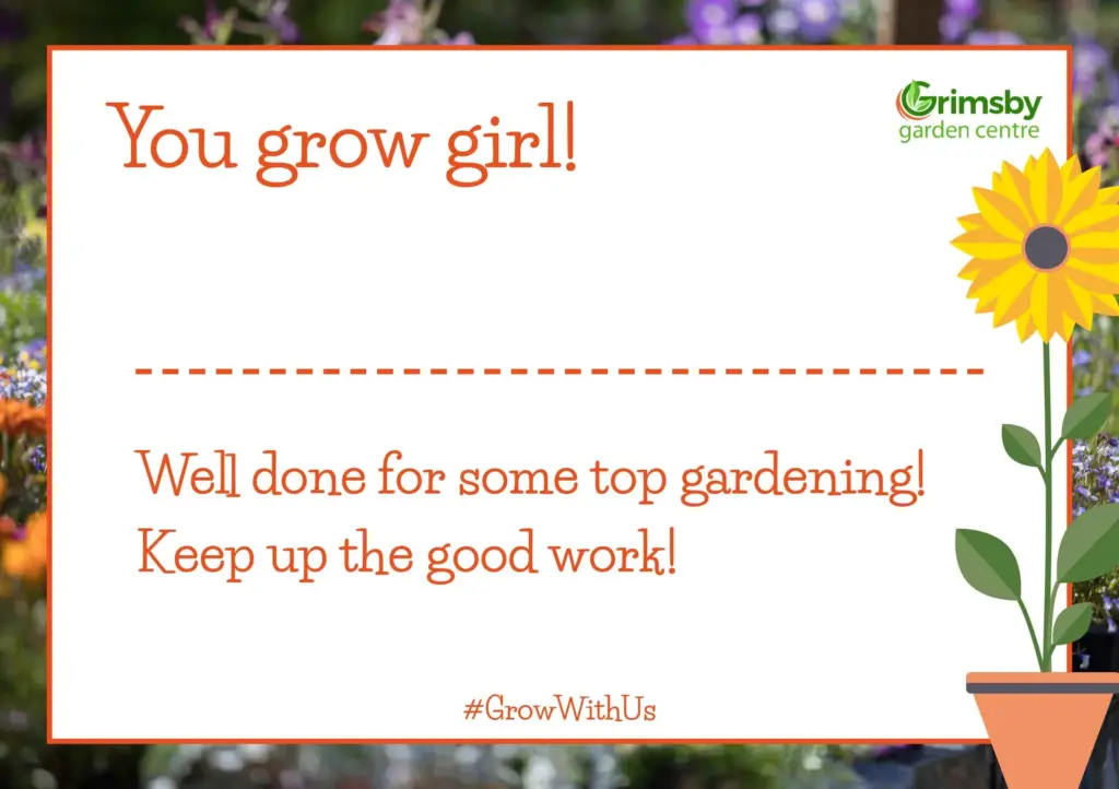 You Grow Girl Certificate
