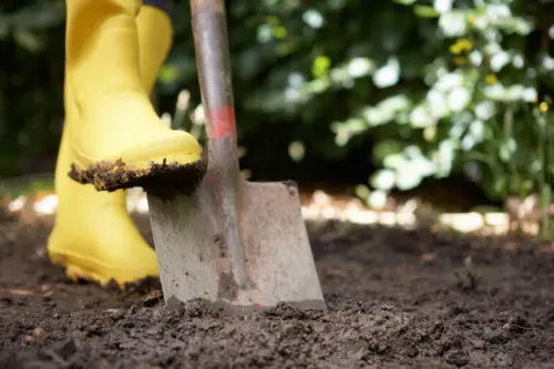 Person digging in garden