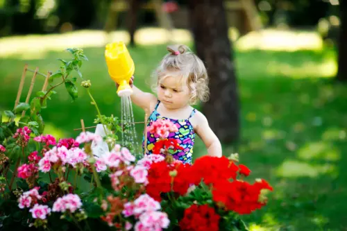 Little girl watering geranium plants with a plastic yellow watering can
