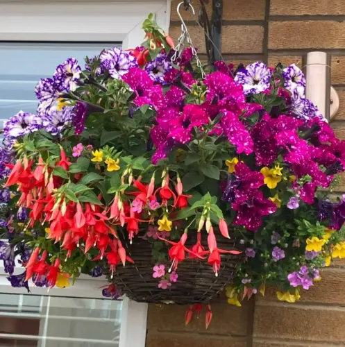 Hanging basket
