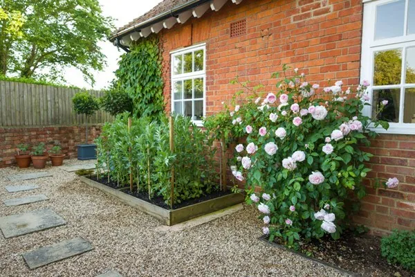 Planning your garden around sunny spots