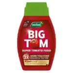Westland Big Tom Super Tomato Food 1L + 25% extra free