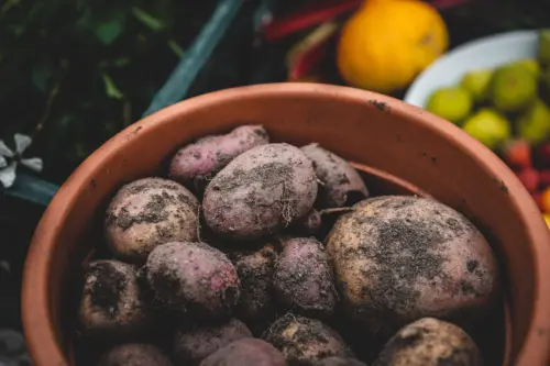Potatoes grown at home