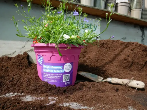 Mental Health Awareness Week planter