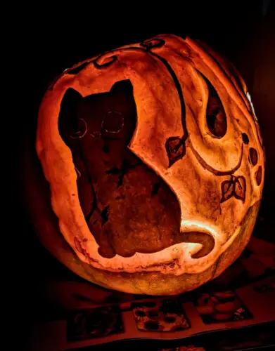 Cat carving on pumkin