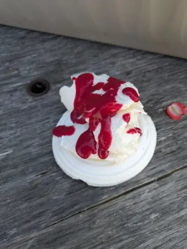 Cherry compote with ice cream at Grimsby Garden Centre allotment