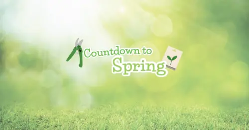 countdown to spring - January