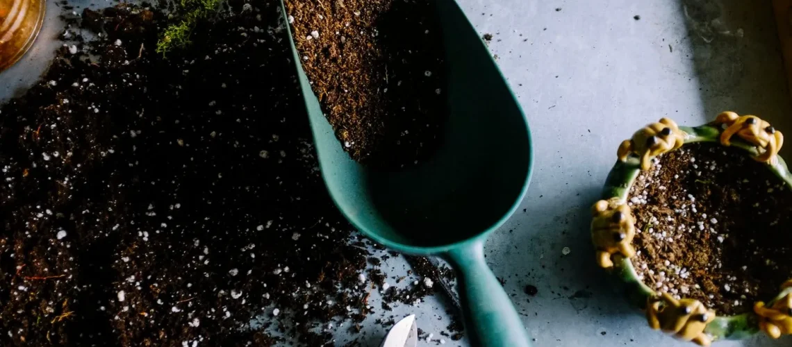Coffee grounds in the garden