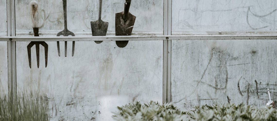 Garden_frost_winter