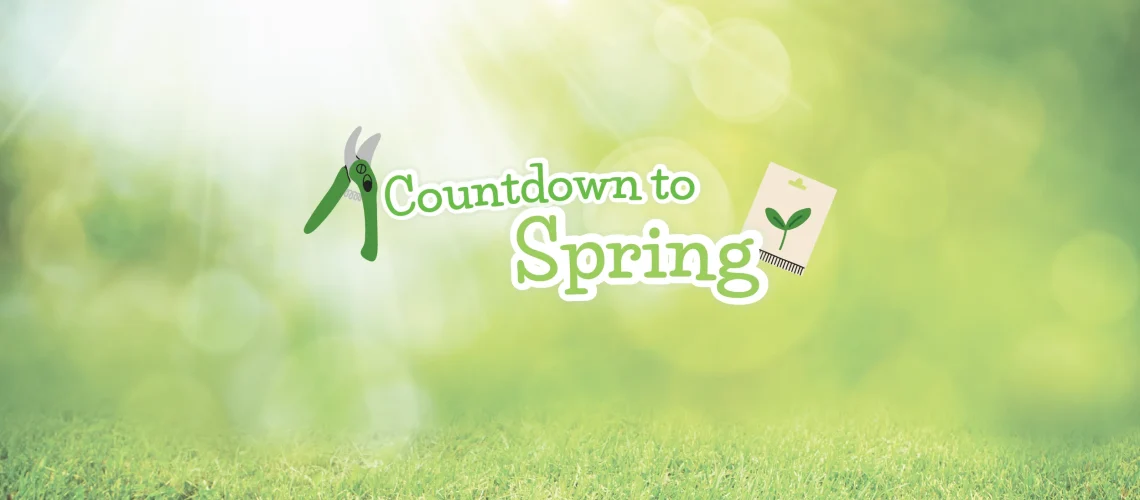 countdown to spring - January